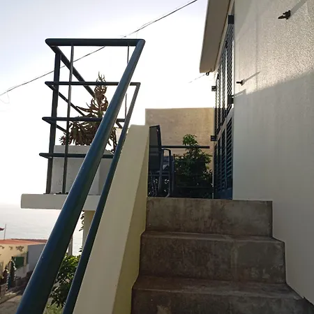 Yellow Owl Campanário