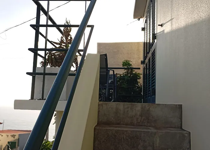 Yellow Owl Campanário