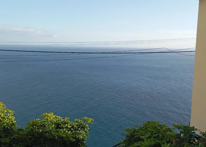 Yellow Owl Campanário